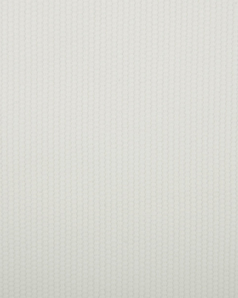 Off-White Cotton Canvas