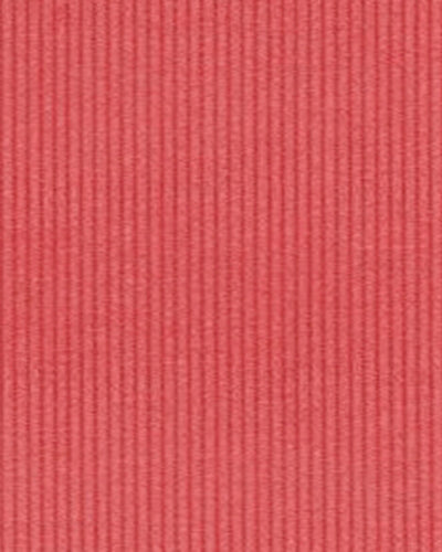 Brisbane Moss Coral Needlecord