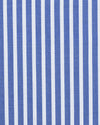 Cornflower Blue Bengal Stripes Shirt