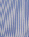 Light Blue Stripes Shirt