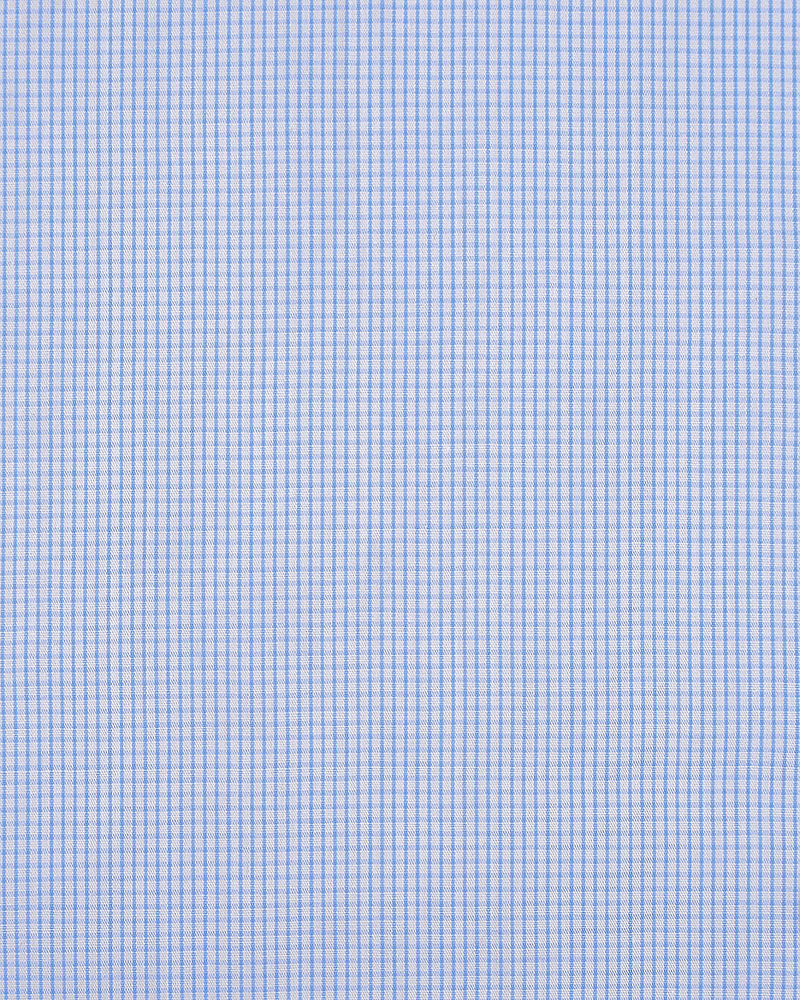 Contrôles micrographiques bleu pâle