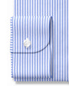 Blue White Bengal Stripes