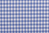 Ultramarine Light Blue Checks on White