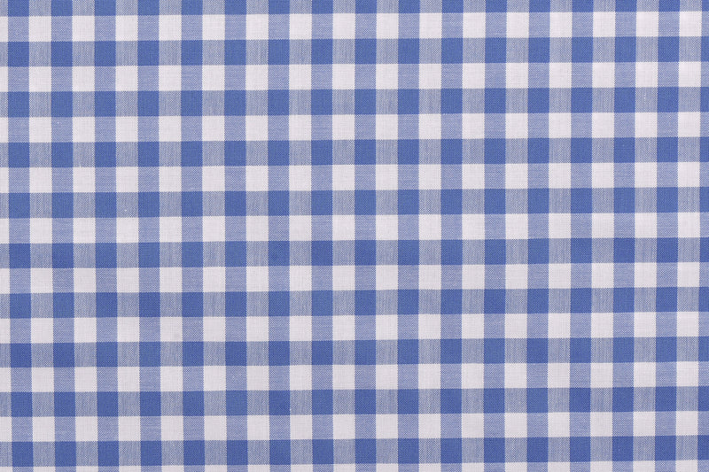 Ultramarine Light Blue Checks on White