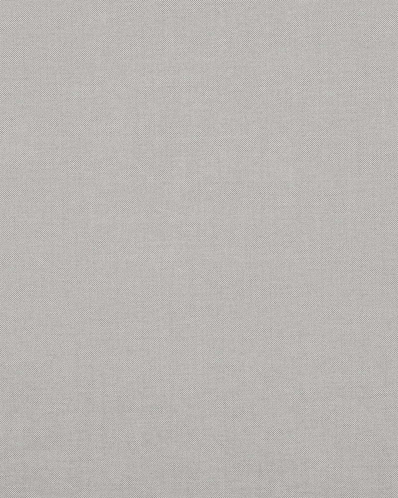 Ecru Oxford Shirt