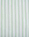 Classic Oxford: Light Green University Stripes Shirt