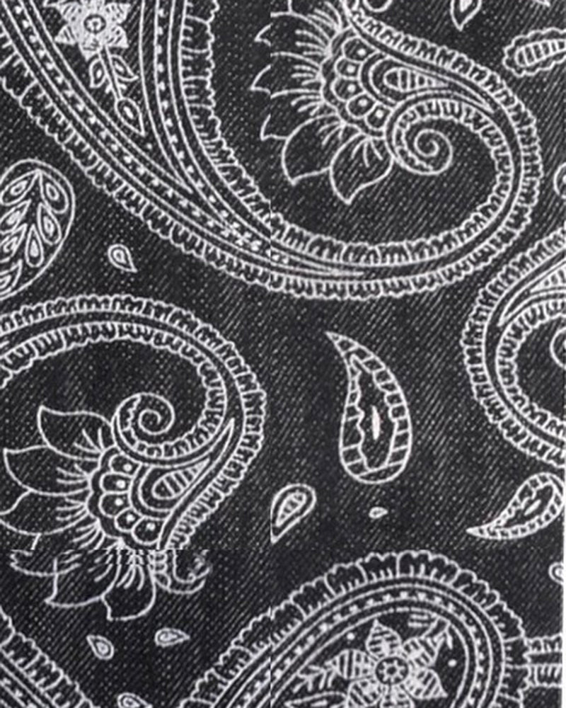Paisley-Denim-Wabash