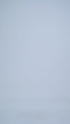 Linen Cotton Canvas: Cream Pant